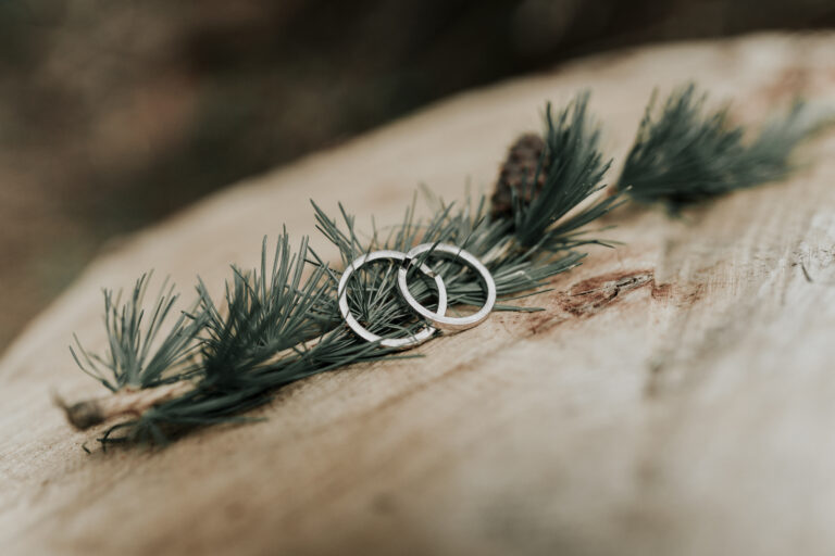 vettoriphotography 9
